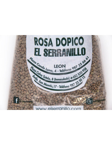 Lentejas pardinas de León