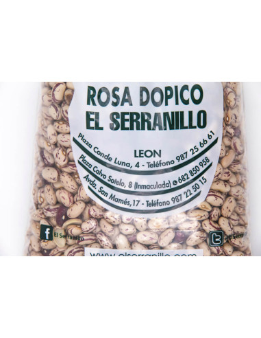 Alubia pinta de León