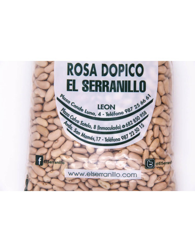 Alubia canela de León