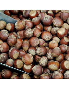 Avellanas "perdones"