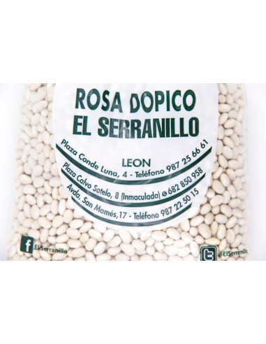 Alubia arrocilla de León