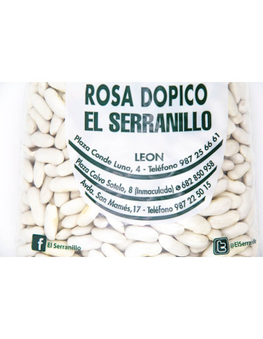 Alubia blanca de fabada asturiana