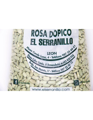 Alubia verdina asturiana